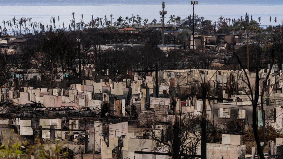 Maui sues cell carriers over wildfire warnings never received – NBC Bay Area - Vimarsana News