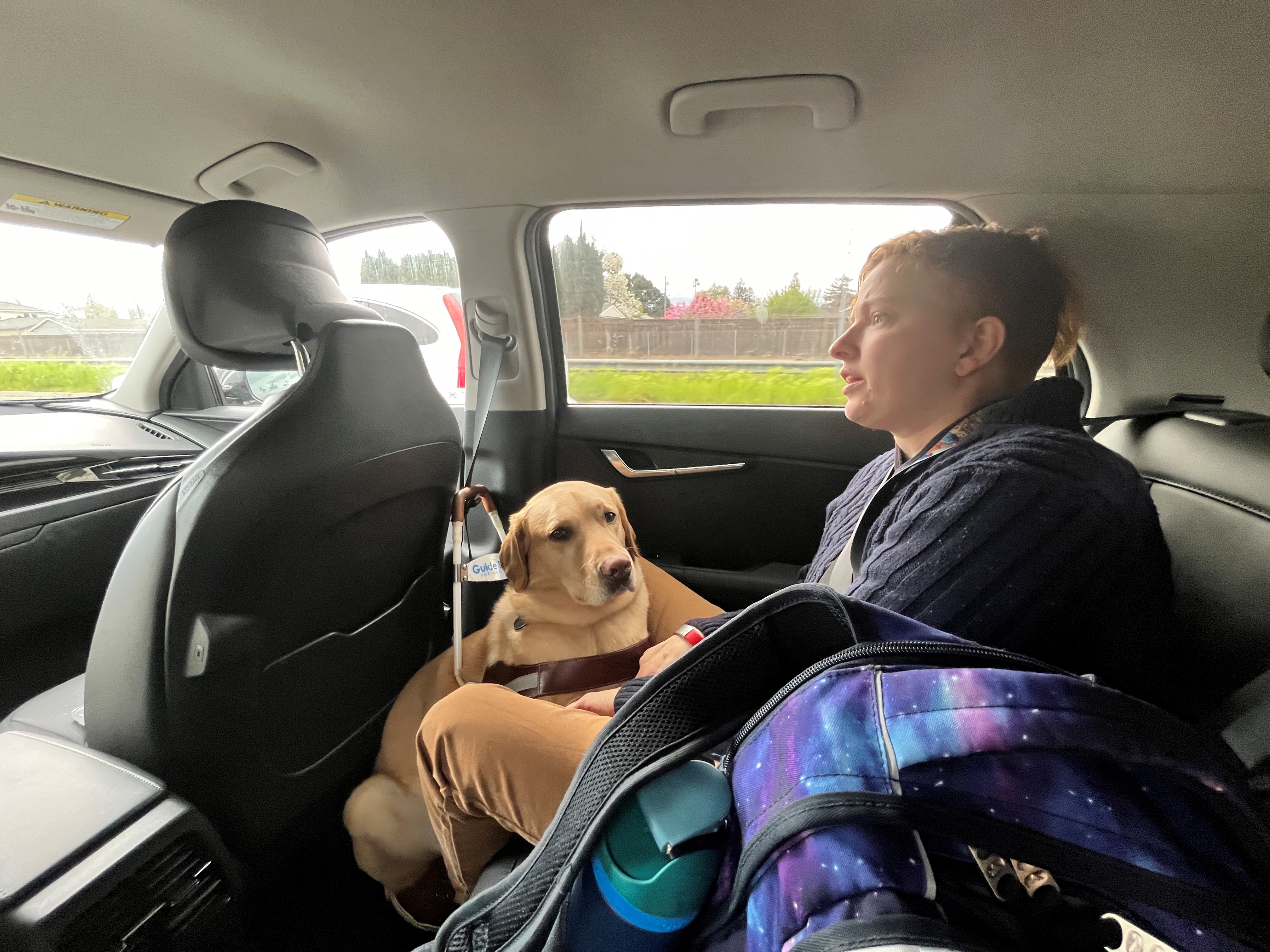 Hot dogs in uber cars on Sale