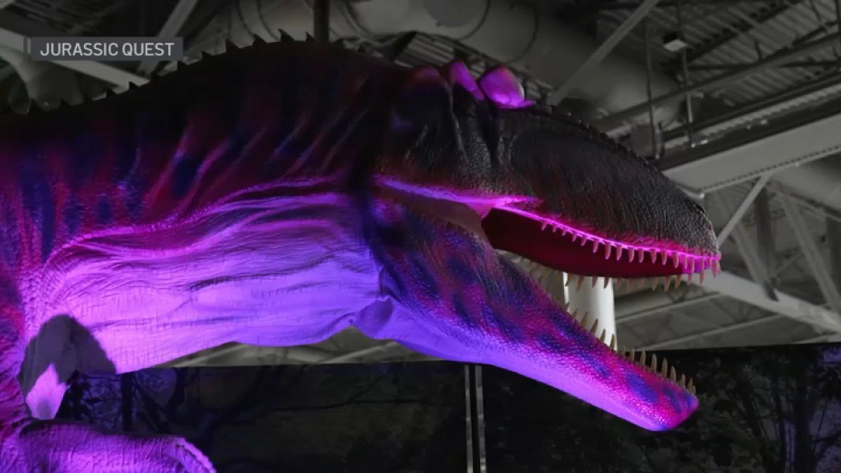 Jurassic Quest brings lifesize dinosaurs to the East Bay NBC Bay Area