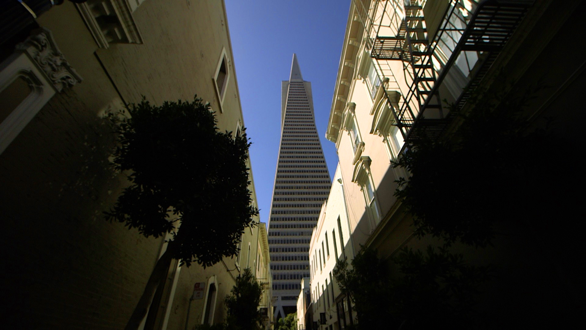 Transamerica Pyramid.