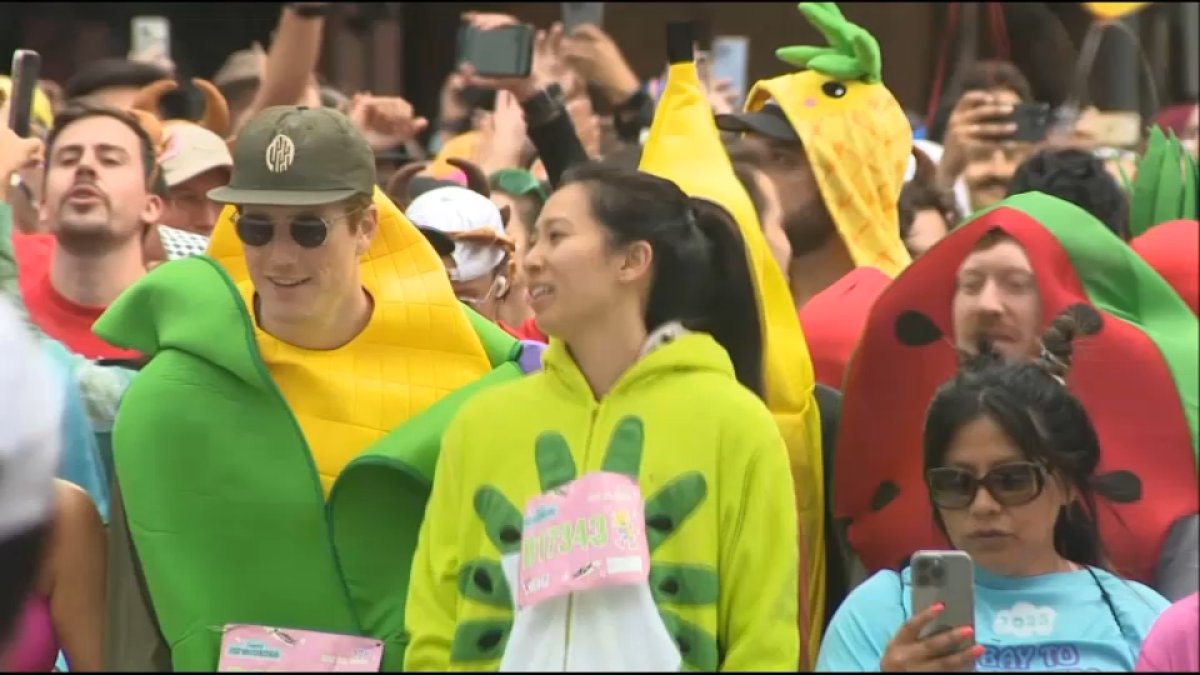 Watch What to expect in SF’s Bay to Breakers race this Sunday NBC