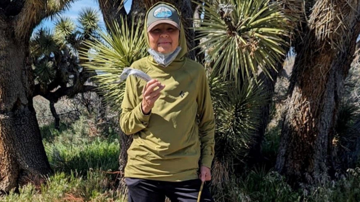 Authorities in East Bay search for hiker missing since Friday – NBC Bay Area - Vimarsana News