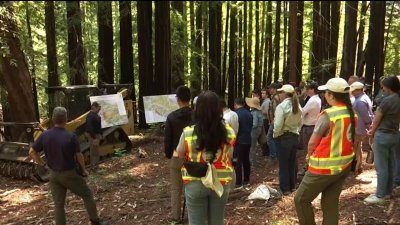 South Bay group showcases work to reduce wildfire risk