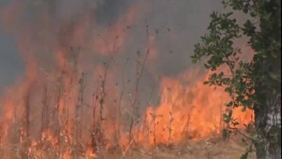 A closer look at this year's fire season