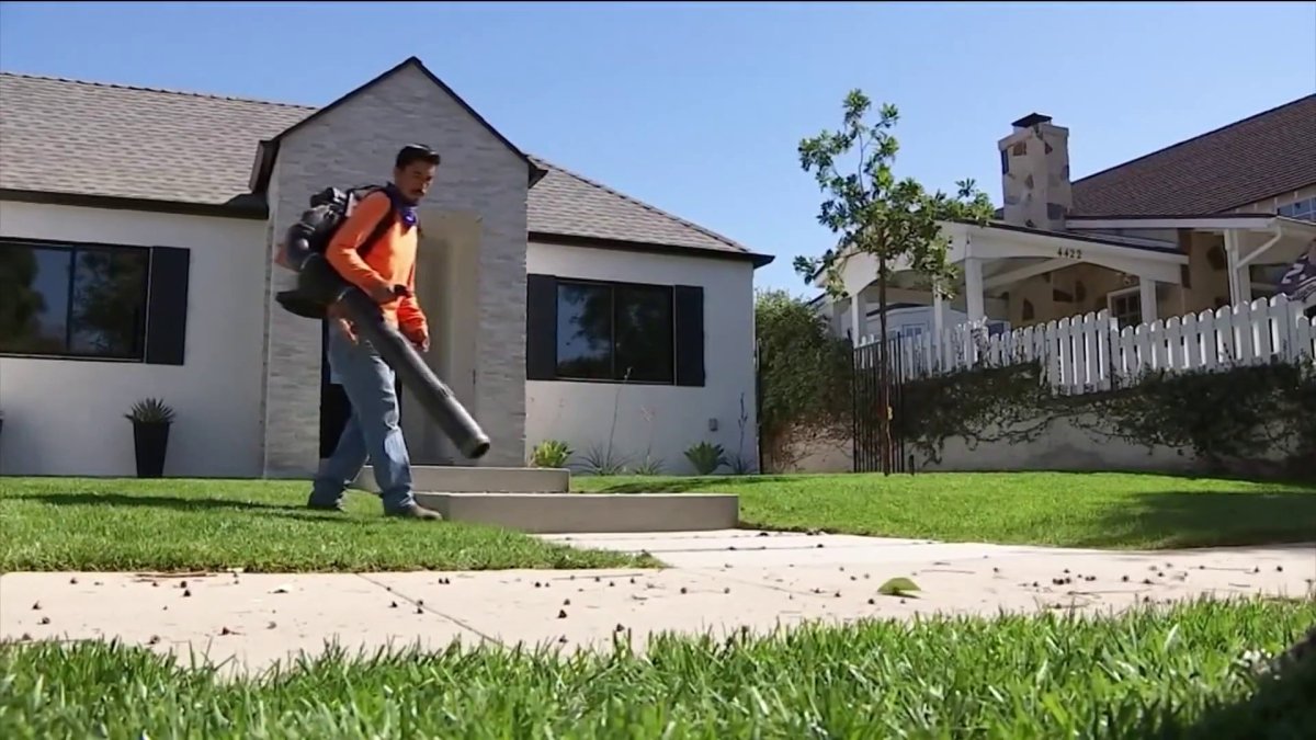 The quietest leaf blower ever NBC Bay Area
