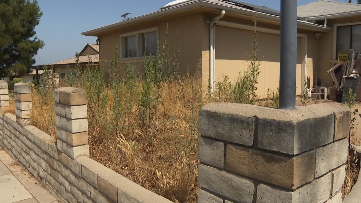 Body in Freezer in Allied Gardens was put there by husband, say San