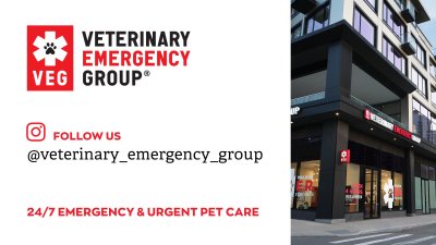 Veterinary Emergency Group helps people and their pets when they need it most!