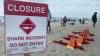 Southern California beach closed after shark bites man during group swim
