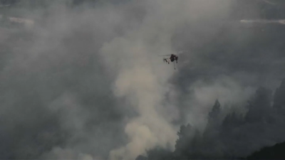 Point Fire in Sonoma County 40% contained, holds at 1,200 acres