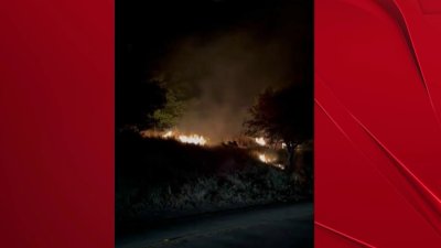 Crews contain brush fire in Berkeley Hills