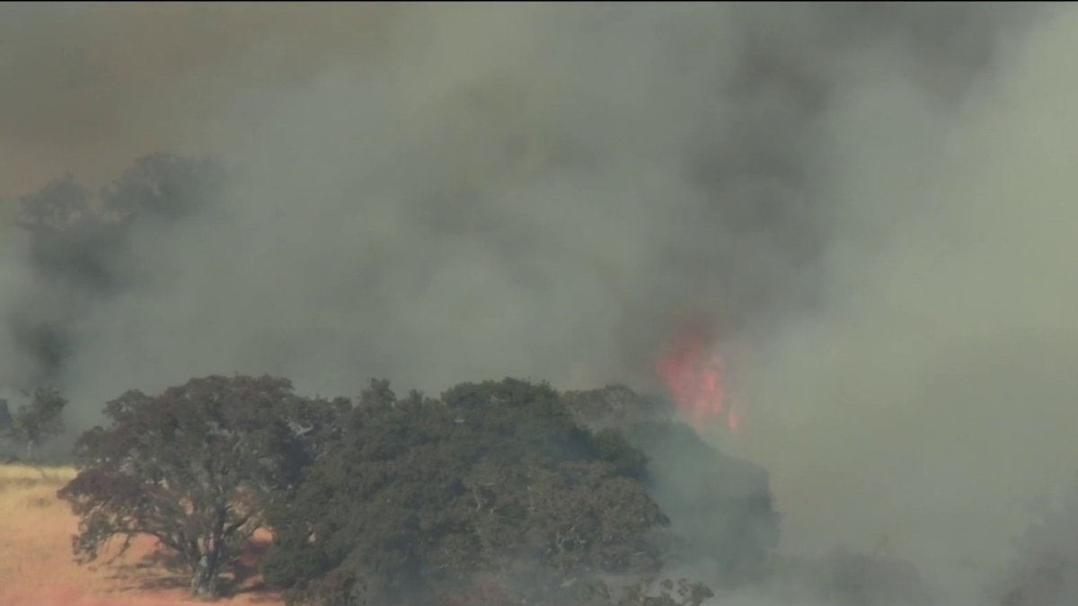 Creek Fire 595 acres burned; 5 contained as brush fire prompts