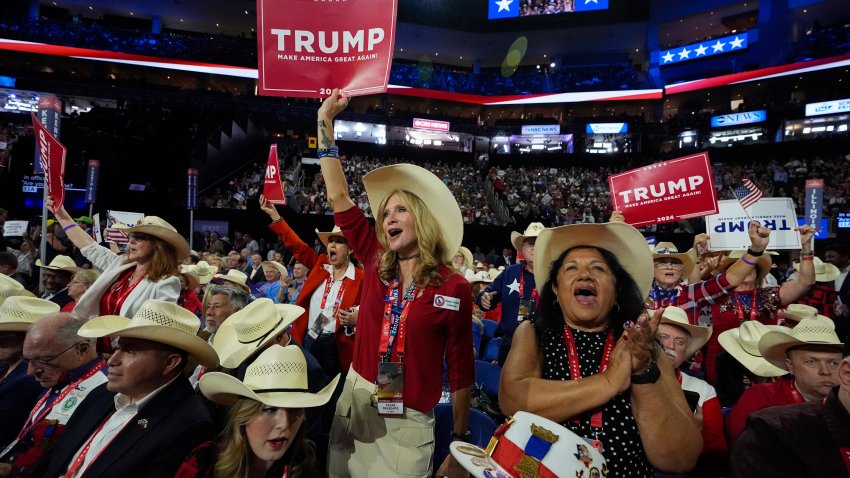 Texas delegates cheer during the Republican National Convention