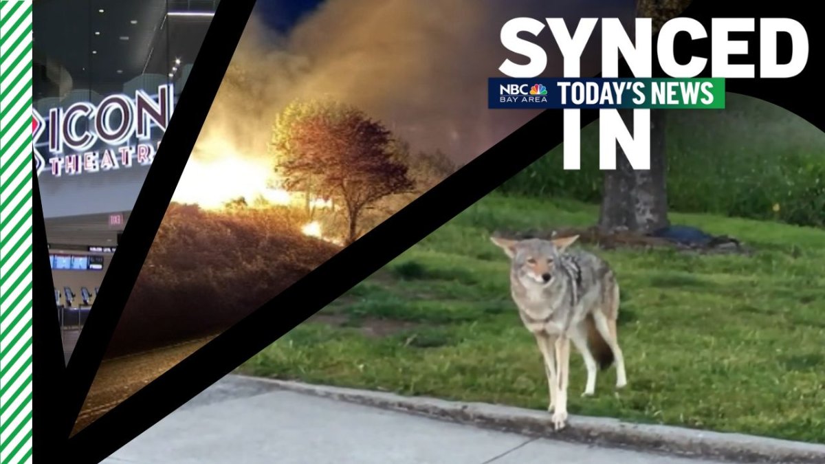 In the news: Illegal fireworks spark wildfires, coyote attack in SF