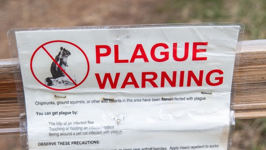 FILE – A bubonic plague warning is posted on the Rainbow Trail at Taylor Creek gives a good view of the wildlife and vegetation on April 7, 2022, in South Lake Tahoe, CA. Though record rain and snow fell in December, California’s water woes continue with much of the state in a “exceptional” or “extreme” drought situation for a third straight year. (Photo by George Rose/Getty Images)