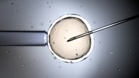 In vitro fertilization or IVF, 3d render.