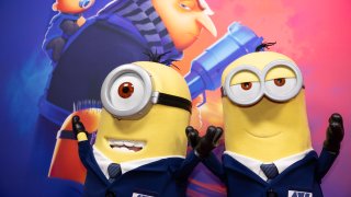 "Despicable Me 4" Australian Premiere - Sydney Film Festival 2024