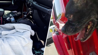 A dog was rescued from a hot car in Livermore.