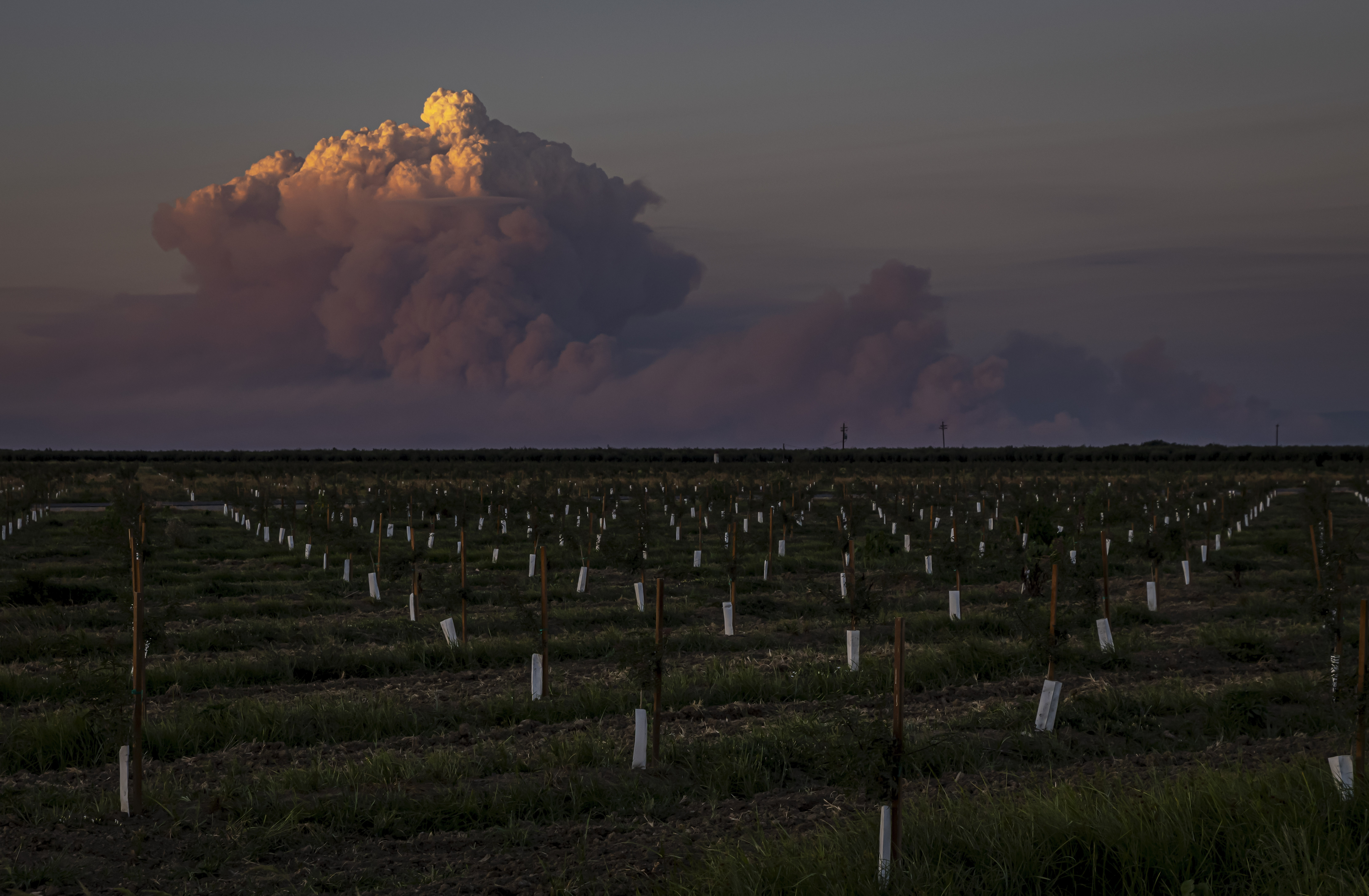 How the Park Fire grew so far NBC Bay Area