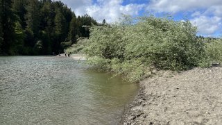 Russian River