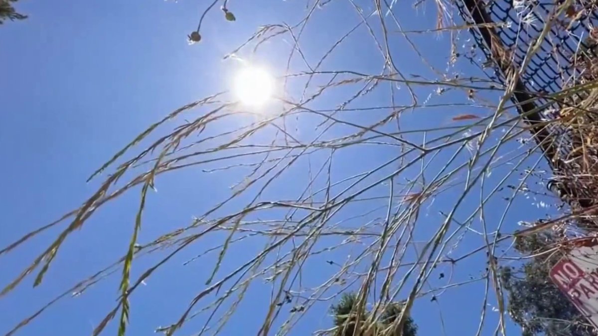 South Bay residents find ways to stay cool amid heat wave – NBC Bay Area