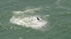 Whales spotted near Linda Mar Beach in Pacifica