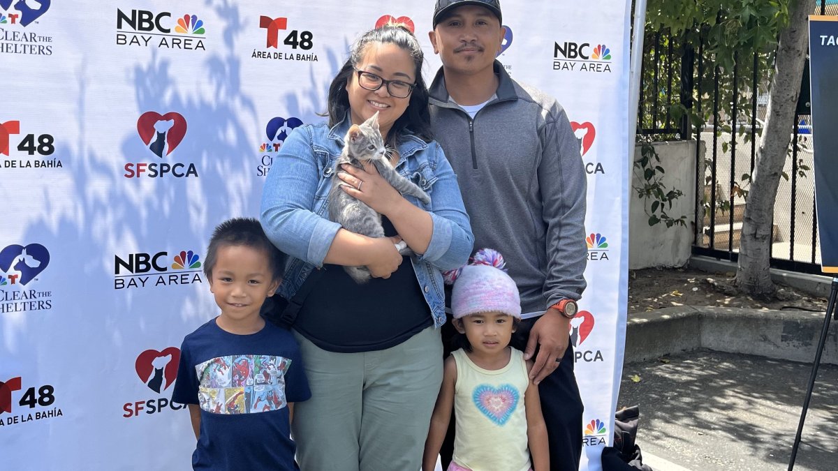 San Francisco SPCA Clear the Shelters Community Adoption Event – NBC ...