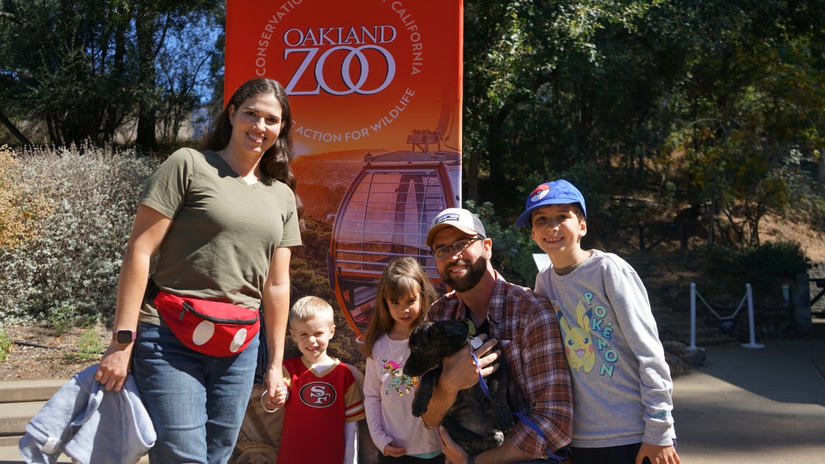 Clear the Shelters Pet Adoption Day at the Oakland Zoo – NBC Bay Area