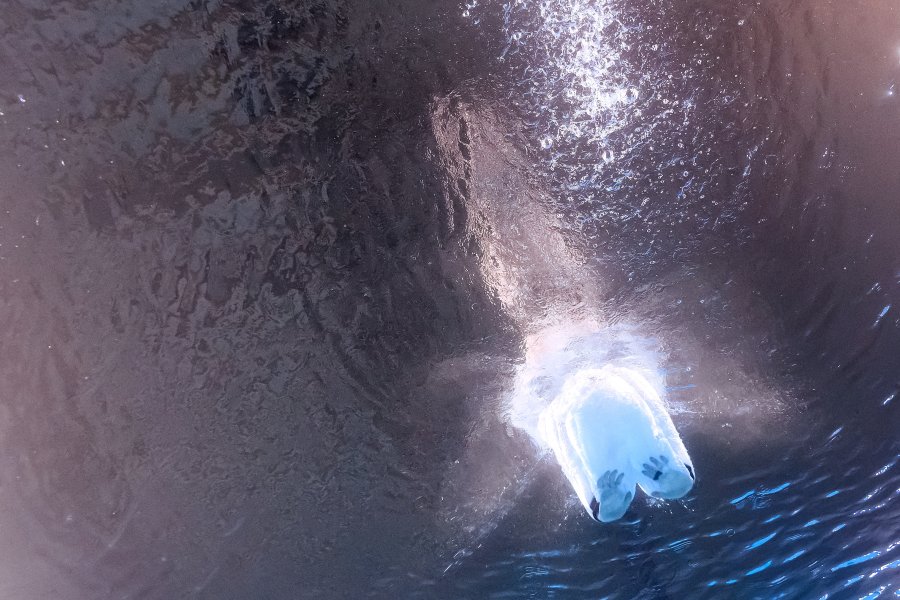 An underwater view shows Germany's Pauline Alexandra Pfeif competing in the women's 10m platform diving preliminary during the Paris 2024 Olympic Games at the Aquatics Centre in Saint-Denis, north of Paris, on August 5, 2024