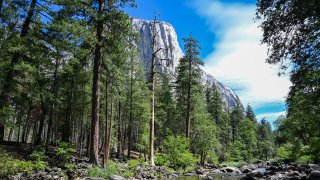 Yosemite