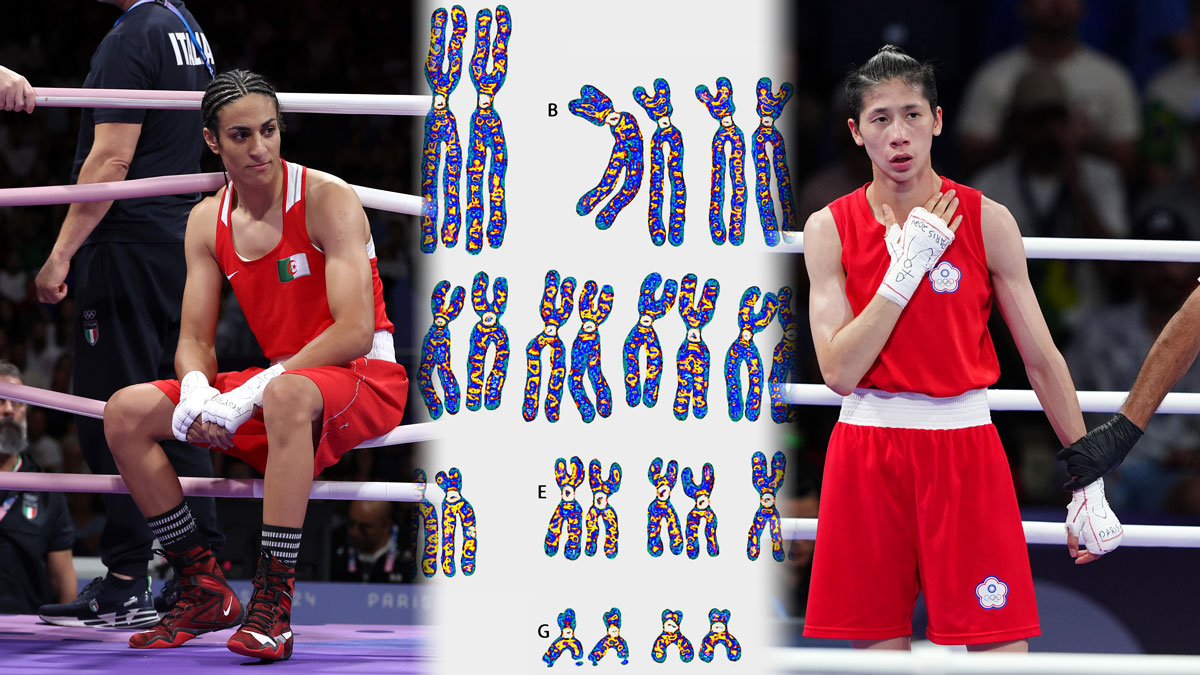 Olympic boxing controversy: Does Imane Khelif have XY chromosome? – NBC ...