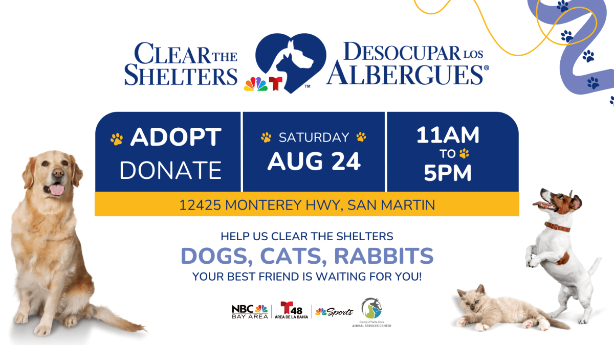 Join Us for Clear the Shelters: A Family-Friendly Adoption Event at ...