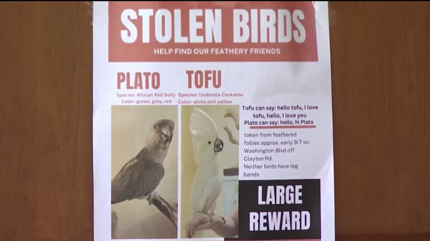 Two rare birds were stolen from a store in Concord. (Sept. 9, 2024)