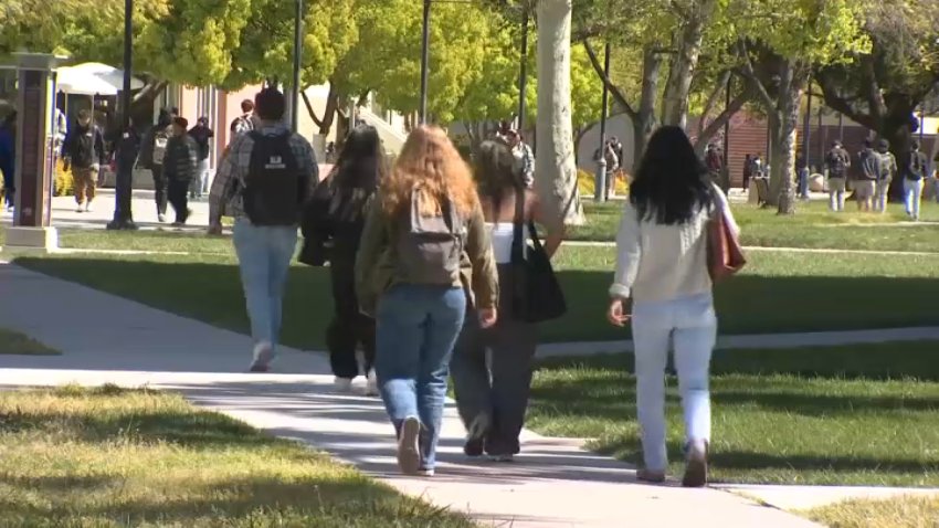 Students at a school campus