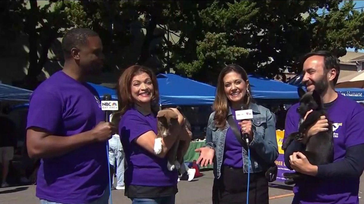 Clear The Shelters In Berkeley – Nbc Bay Area