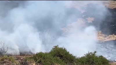 Crews battle vegetation fire in San Jose; hotel sustains minor damage