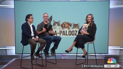 ‘Pet-A-Palooza' in Millbrae