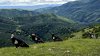 Endangered California condors seen soaring over Mount Diablo, Livermore