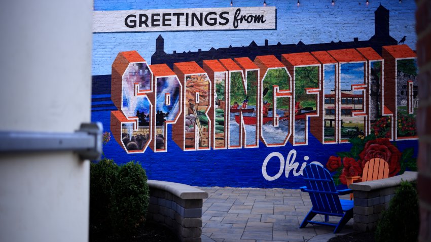 A mural is displayed in an alley downtown