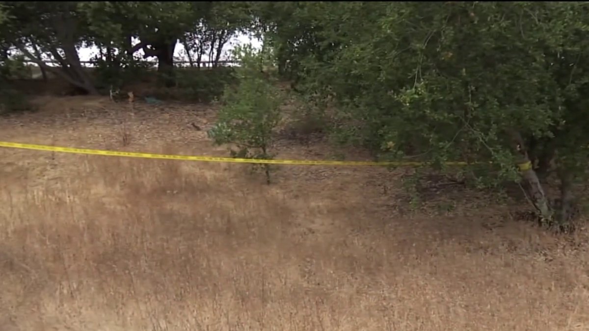 Elderly man assaulted in Los Altos – NBC Bay Area