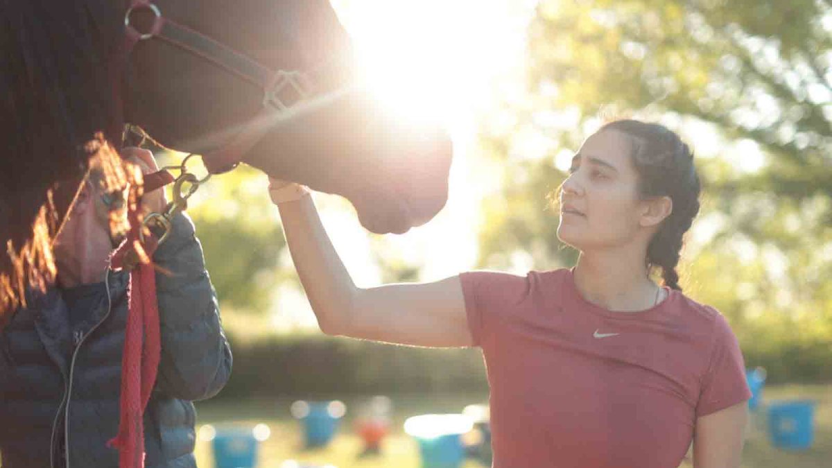 Girl vs. Horse Why a longdistance runner raced a horse in a 50mile marathon NBC Bay Area