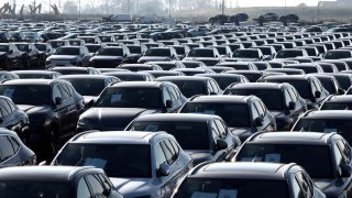 New cars, among them new China-built electric vehicles of the company BYD, are seen parked in the port of Zeebrugge, Belgium, October 24, 2024.