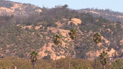 Excessive heat warning in effect for parts of the Bay Area