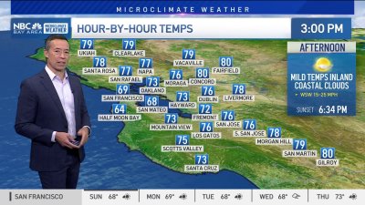 Forecast: morning drizzle, clearing inland