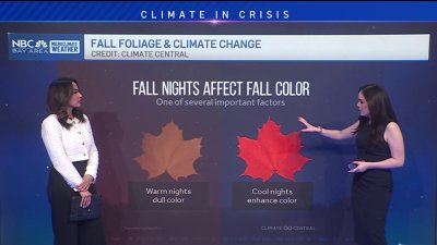 Climate change's impact on fall foliage