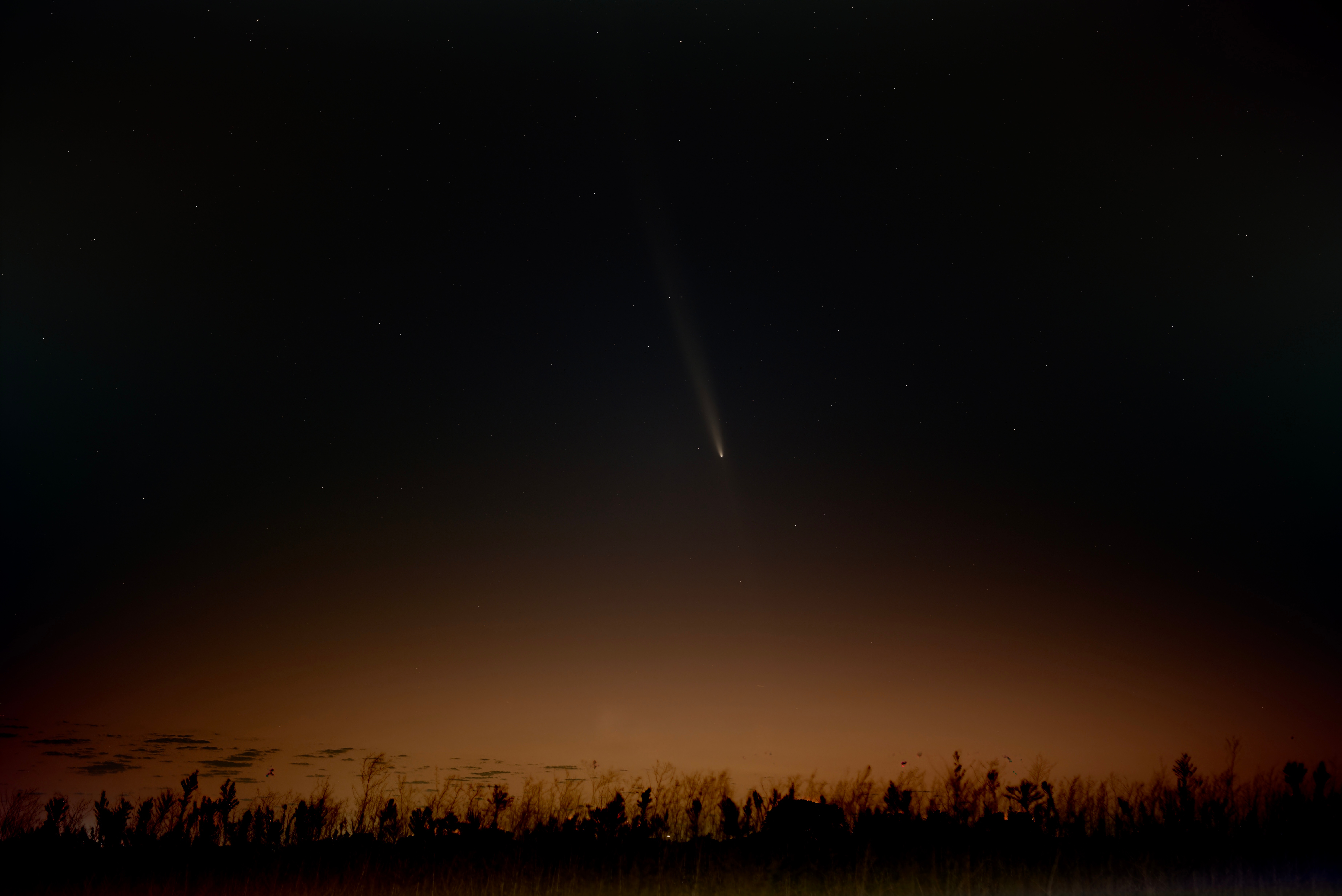 Comet taken from new Fairview Texas on October 14 with Nikon d810 camera 50 mm lens.