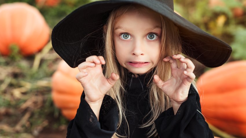 Cute little girl dressed as a witch for Halloween doing scary face next to pumpkins.