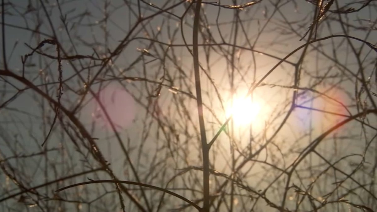 Excessive Heat Warning Continues – NBC Bay Area