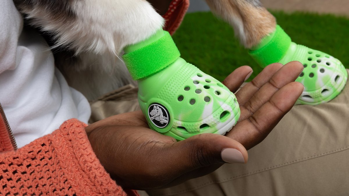 Crocs dog fashion shoes