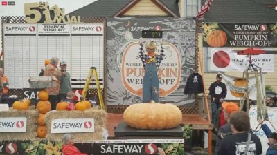 Half Moon Bay World Championship Pumpkin Weigh-Off returns