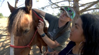 “Horse Class”: Peninsula teacher uses her passion to reach alternative high school students